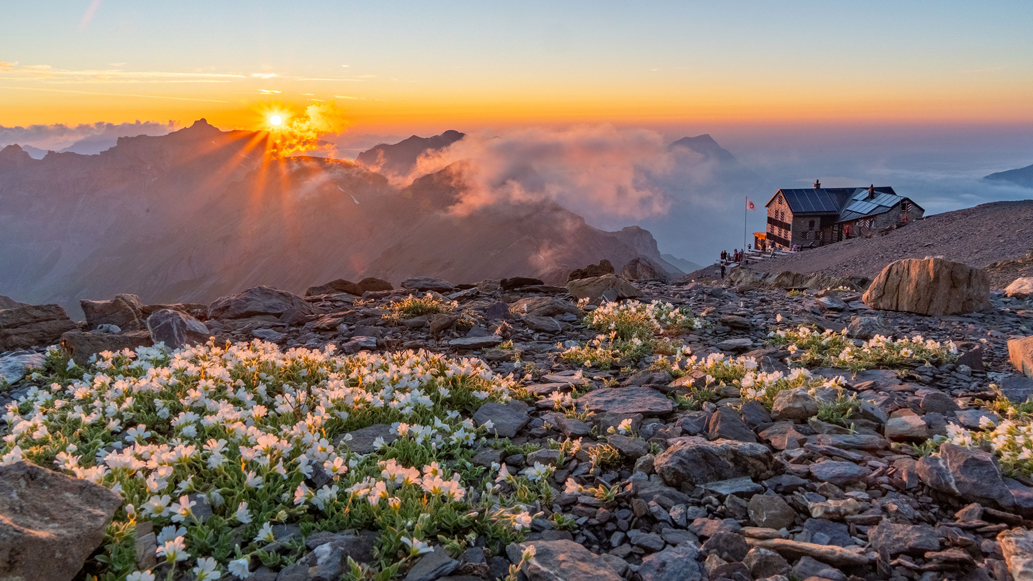Blüemlisalphütte BE - Begegnungen in freier Natur